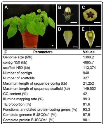 1658920641346242.png 2.png